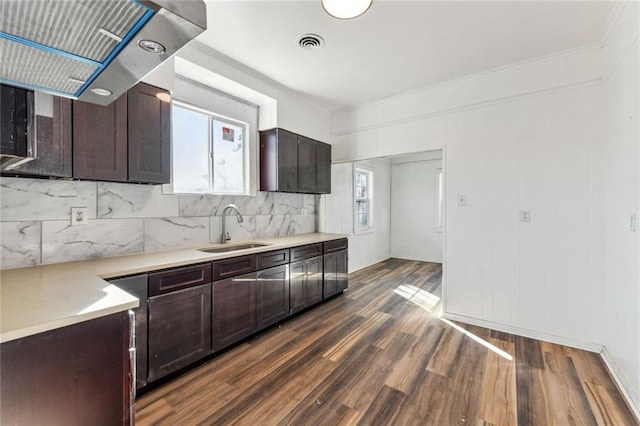 kitchen featuring ornamental molding, sink, dark brown cabinets, backsplash, and dark hardwood / wood-style flooring