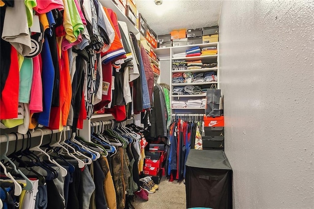 walk in closet featuring carpet flooring