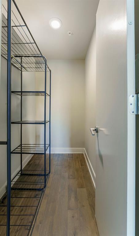 spacious closet with dark wood-type flooring