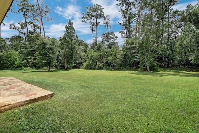 view of yard featuring a patio