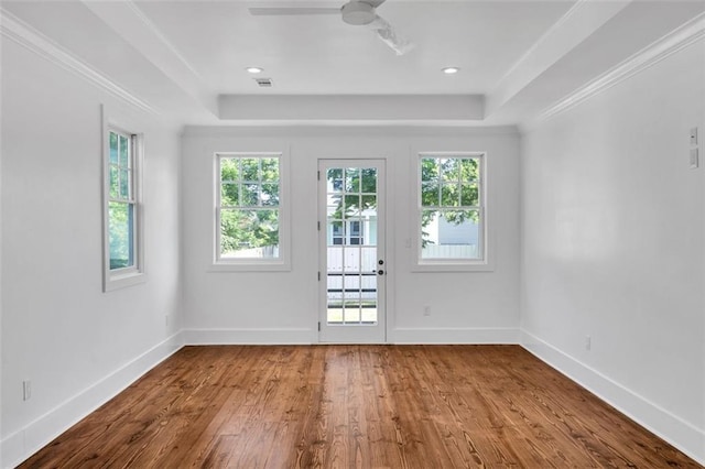 empty room with wood-type flooring and a tray ceiling