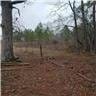71939 1054th Hwy, Kentwood, LA 70444