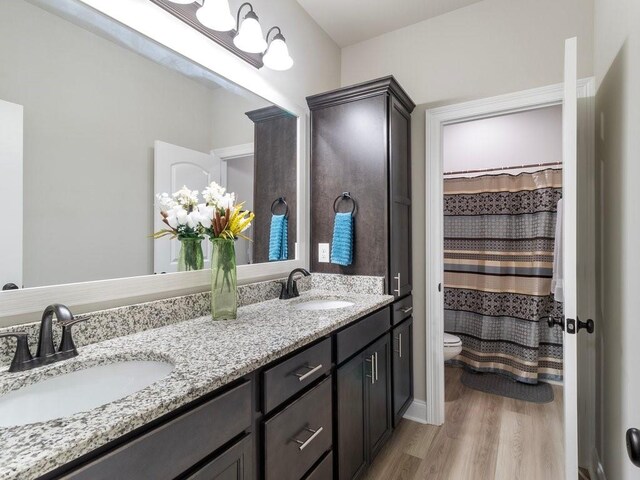 bathroom featuring double vanity, wood finished floors, a sink, and toilet