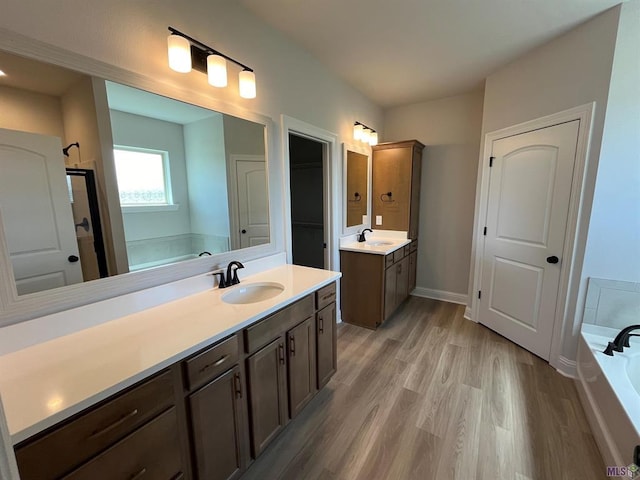 bathroom with wood finished floors, two vanities, a closet, and a sink