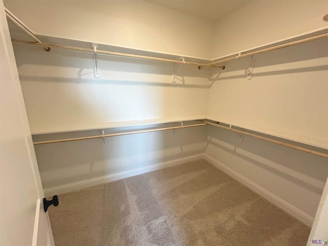 spacious closet with carpet