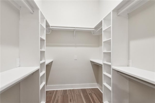 spacious closet with dark hardwood / wood-style flooring