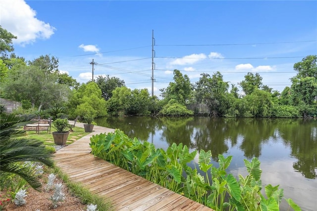 dock area with a water view