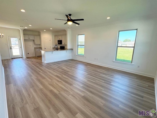 unfurnished living room featuring light wood-type flooring, a healthy amount of sunlight, and sink