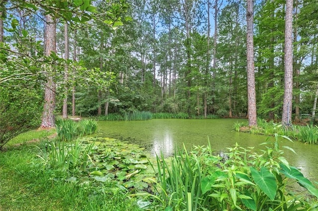 view of local wilderness featuring a water view