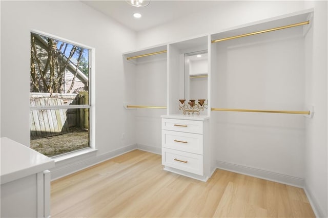 spacious closet featuring light wood finished floors