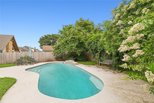 view of pool featuring a patio area