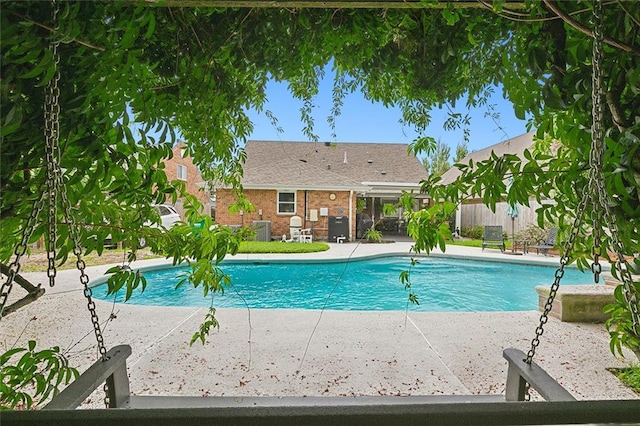 view of pool featuring a patio