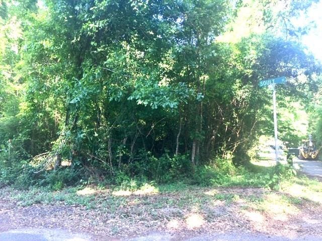 Soult St, Mandeville LA, 70448 land for sale