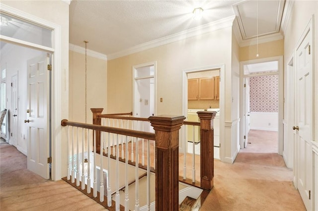 hallway featuring light carpet, a textured ceiling, and crown molding