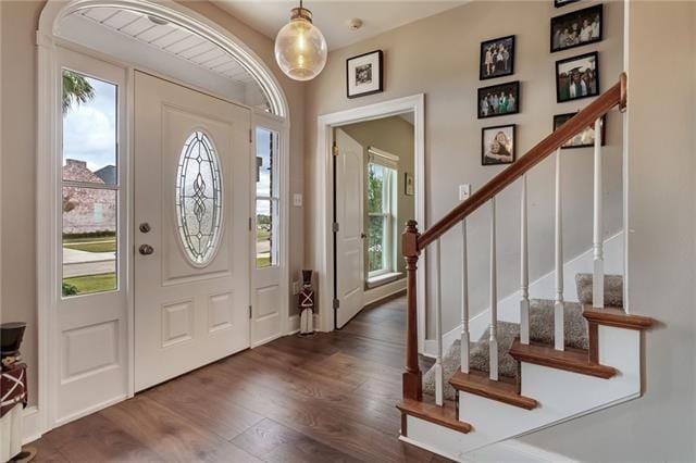 foyer entrance featuring dark wood-type flooring and plenty of natural light