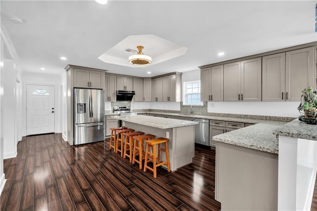 kitchen featuring a raised ceiling, dark hardwood / wood-style flooring, appliances with stainless steel finishes, and a kitchen bar