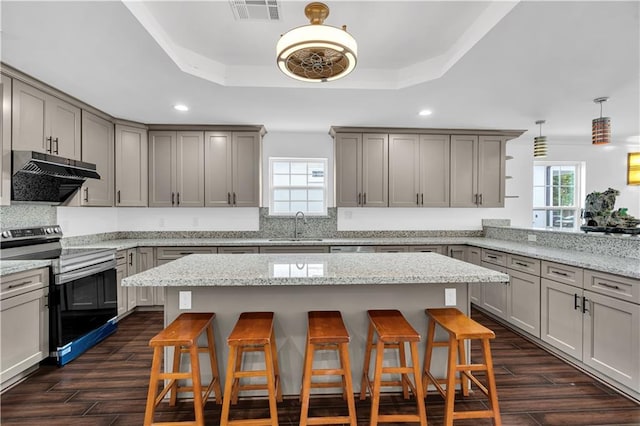 kitchen featuring a raised ceiling, a healthy amount of sunlight, and range with electric stovetop