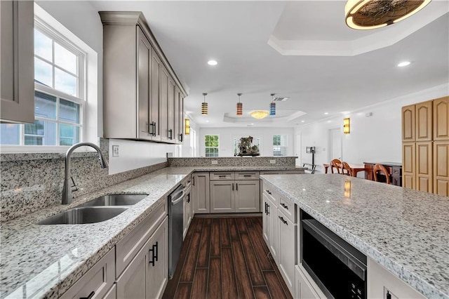 kitchen featuring stainless steel appliances, a healthy amount of sunlight, and a tray ceiling