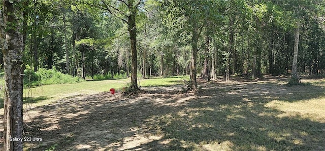 Listing photo 2 for 112 N Apple S Dr, Carriere MS 39426