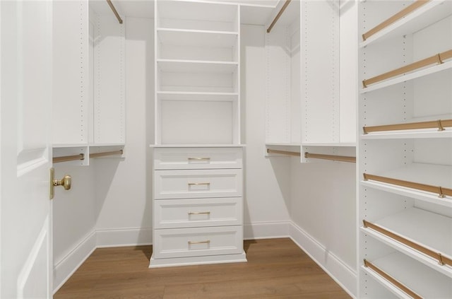 walk in closet with light wood-type flooring