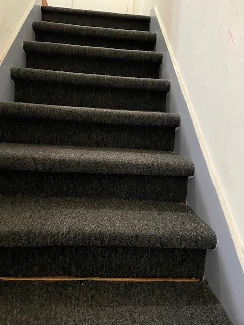 staircase featuring carpet floors