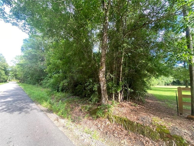 TBT Lee Rd, Covington, LA 70435 - photo 2