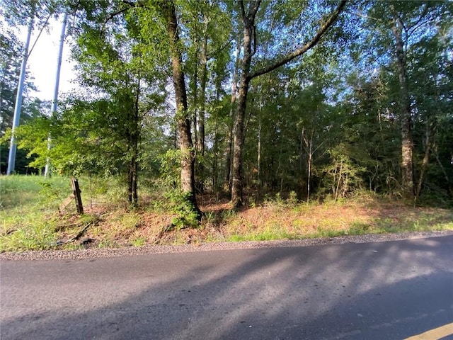 TBT Lee Rd, Covington, LA 70435 - photo 3