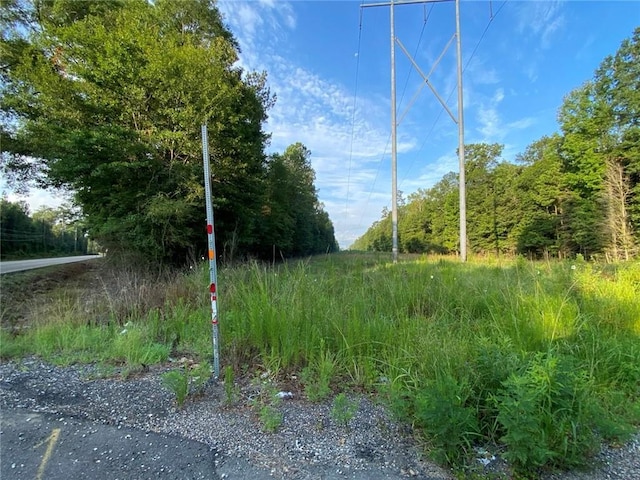 TBT Lee Rd, Covington, LA 70435 - photo 5