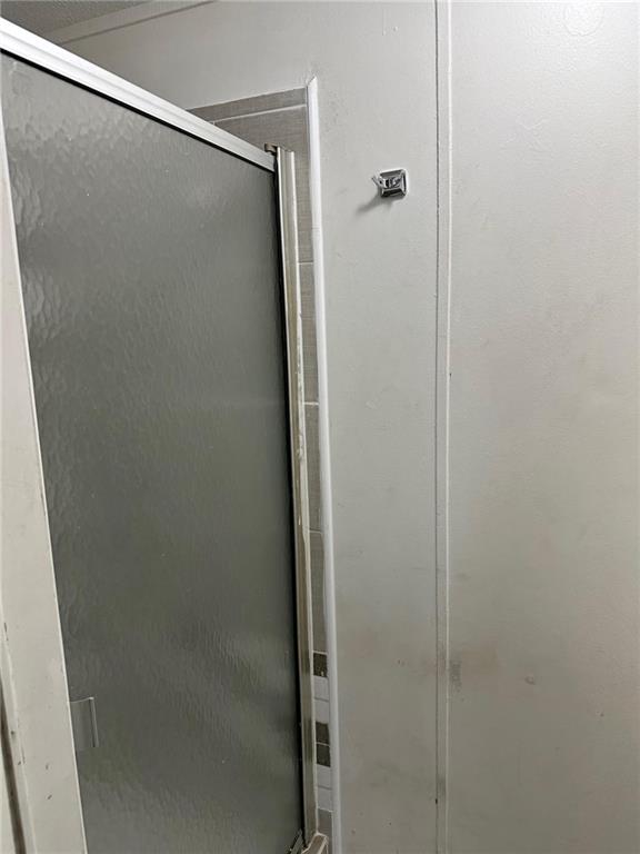 details with a shower with shower door