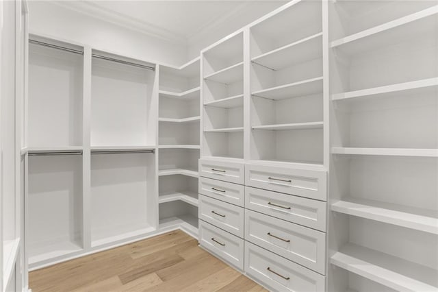 walk in closet with light hardwood / wood-style floors