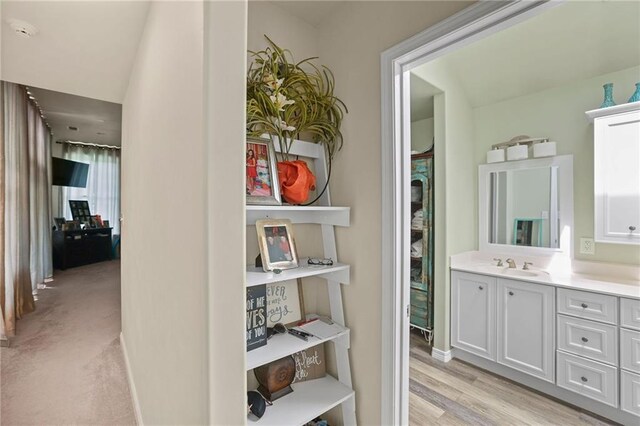31753 River Pines Dr, Springfield, LA 70462 - bathroom featuring wood finished floors and vanity
