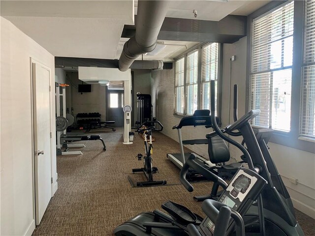 workout area featuring carpet flooring and a wealth of natural light