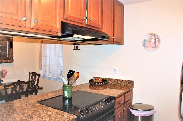 3805 Houma Blvd Unit C201, Metairie, LA 70006 - kitchen with black / electric stove, under cabinet range hood, and brown cabinetry