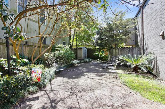 view of patio / terrace with a shed