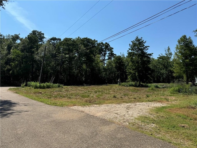 22283 Gull St, Maurepas LA, 70449 land for sale