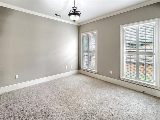 spare room with carpet and plenty of natural light