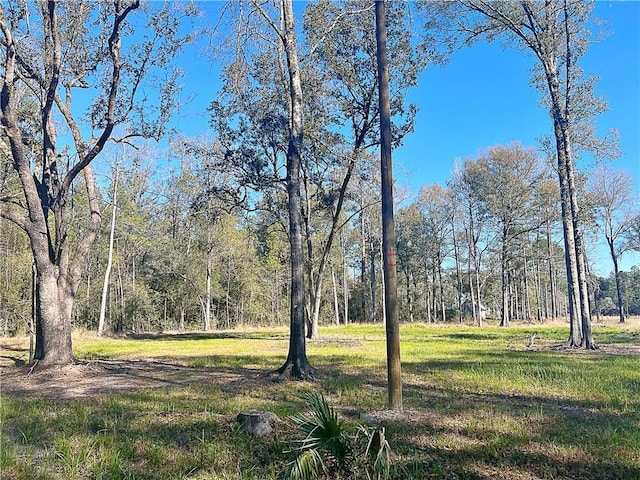 47250 Monticello Dr, Hammond, LA 70403 - photo 2