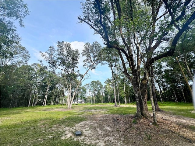 47250 Monticello Dr, Hammond, LA 70403 - photo 3