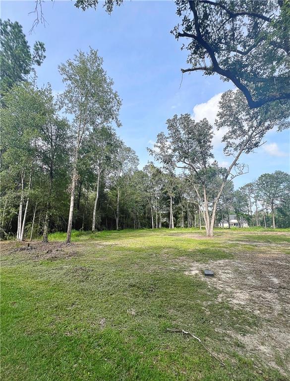 47250 Monticello Dr, Hammond, LA 70403 - photo 4