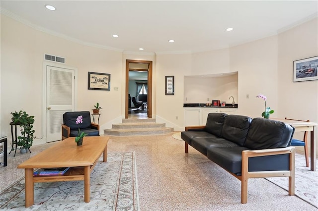 living room with crown molding and sink