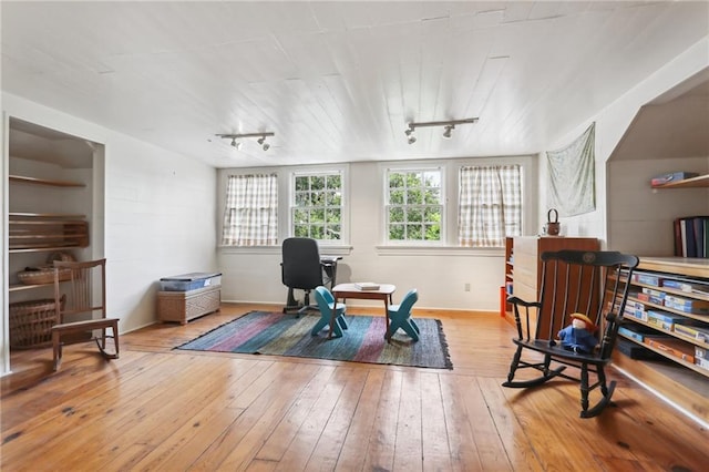 workout room featuring rail lighting and light hardwood / wood-style flooring