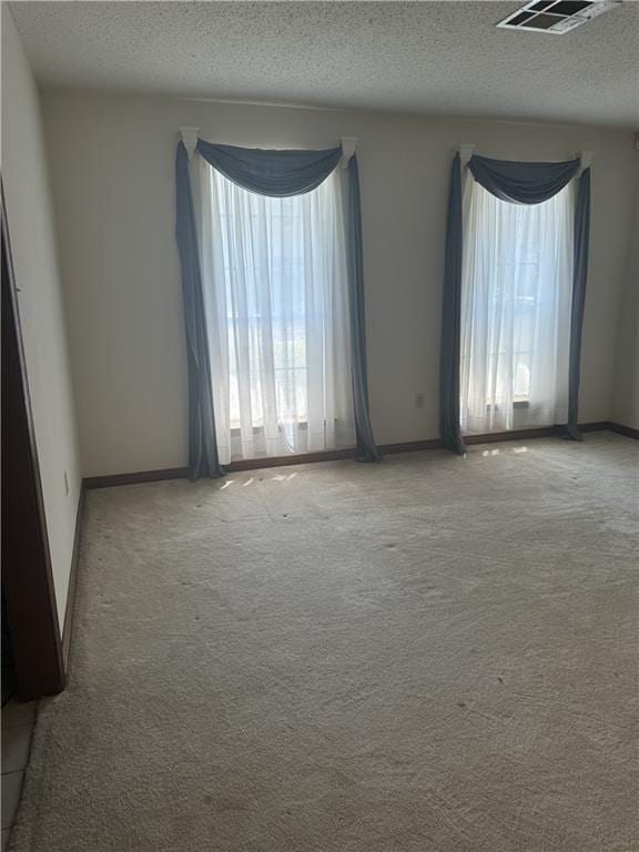 spare room with a wealth of natural light, a textured ceiling, and light carpet