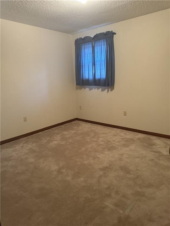 unfurnished room featuring carpet flooring and a textured ceiling