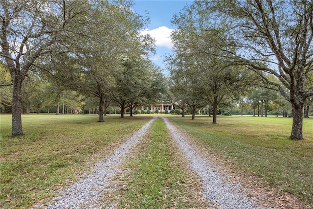 view of street featuring driveway