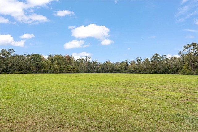 view of yard with a wooded view