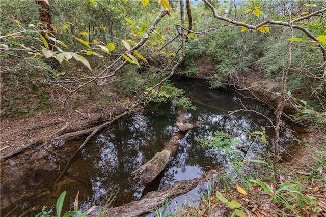 view of local wilderness featuring a forest view