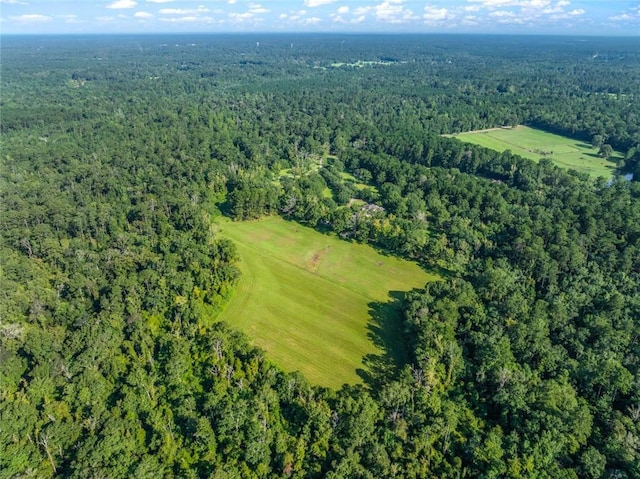 bird's eye view with a view of trees