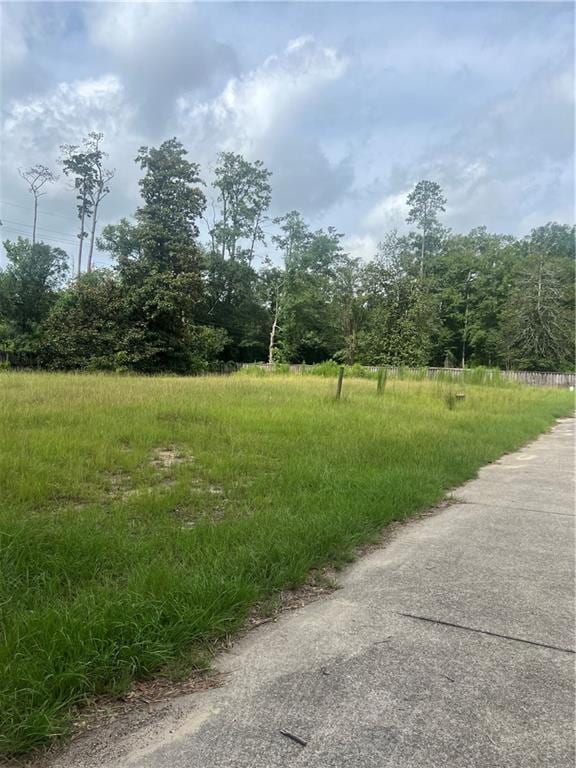 W Pleasant Ridge Rd, Hammond, LA 70403 - photo 2