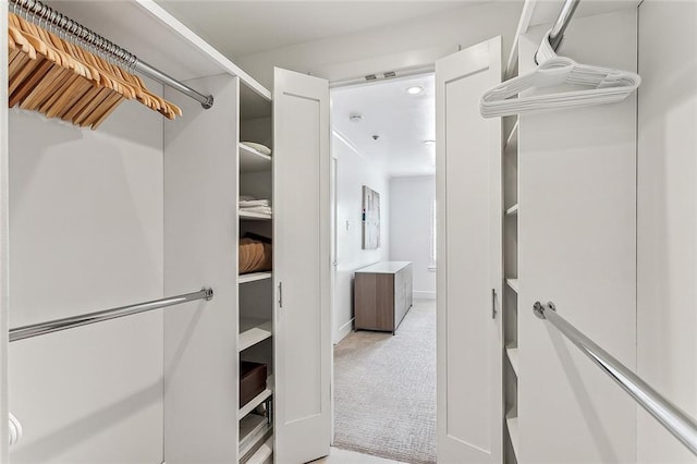 walk in closet with carpet floors