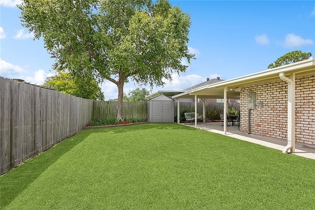 view of yard featuring a patio and a storage shed